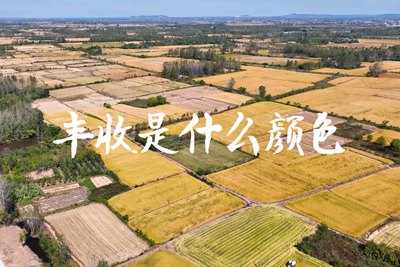 春種一粒粟，秋收萬(wàn)顆子。多彩的豐收季，只愿五谷豐登，百事興旺3.240_400.jpg