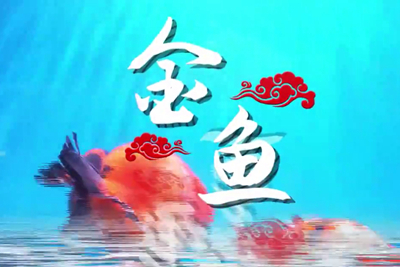 金魚歡躍，流光溢彩！_400.jpg